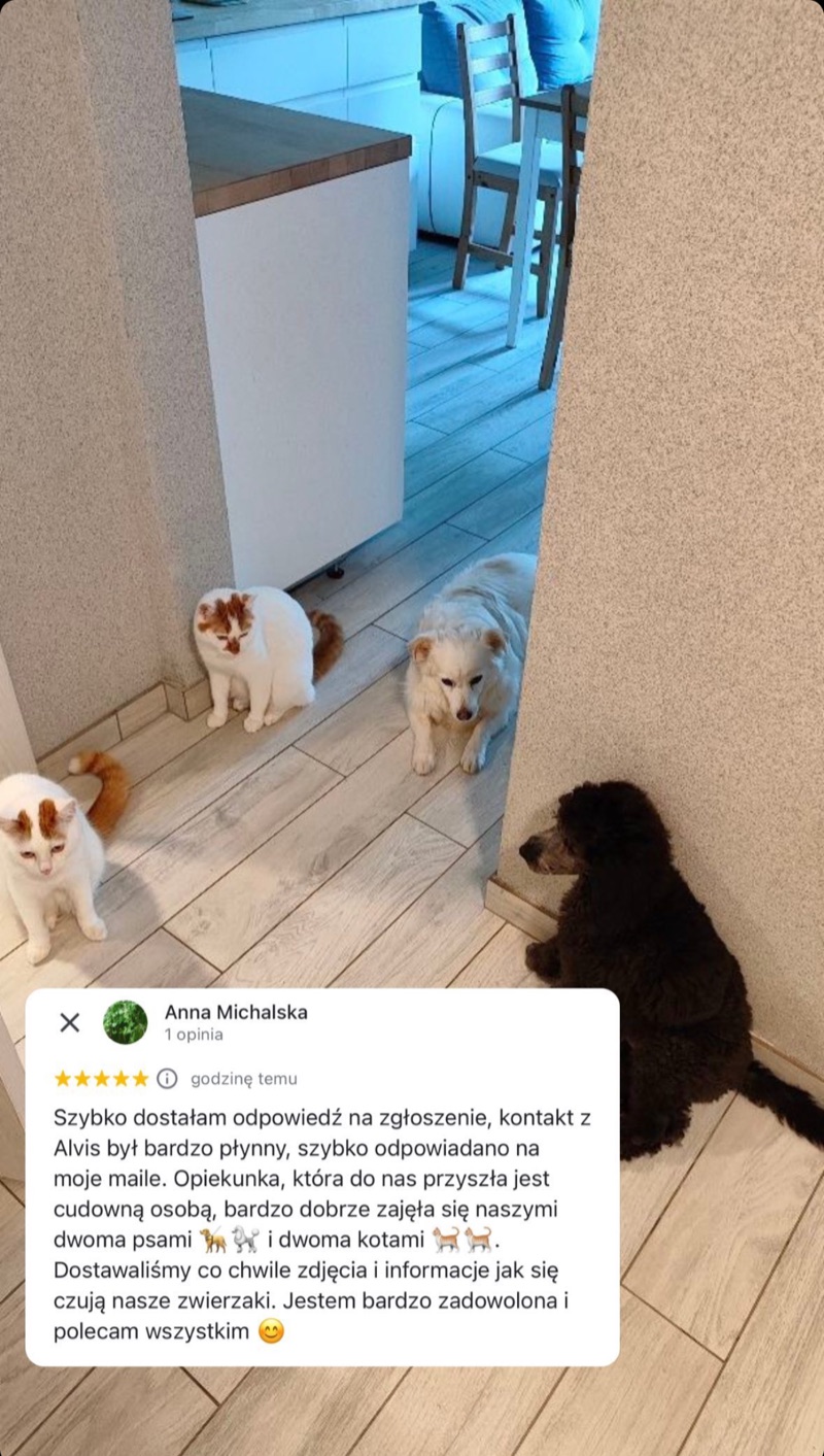 Opinia klienta Alvis o opiece nad kilkoma zwierzętami