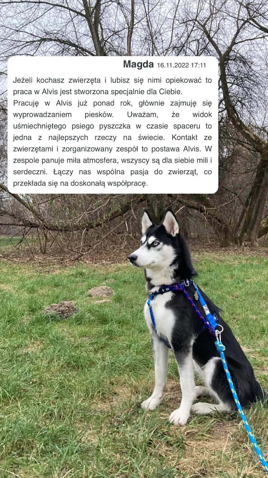 Opiekunka Alvis podczas zabawy z psem